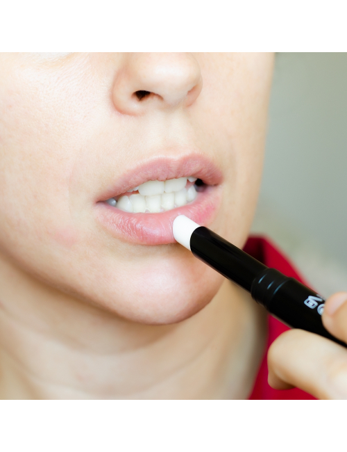 primer lipstick sealer