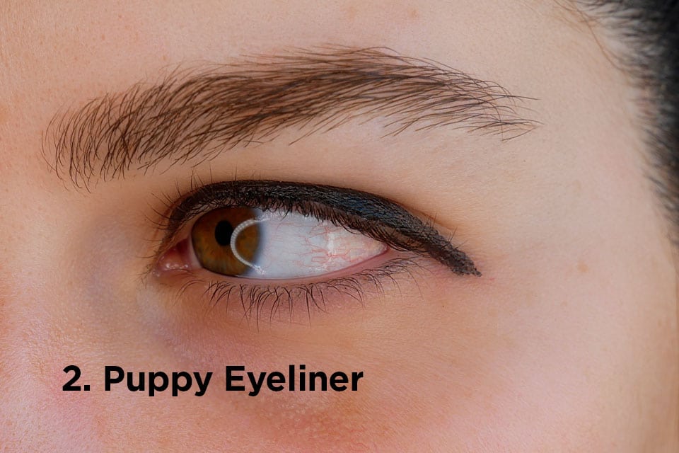 Puppy Eyeliner